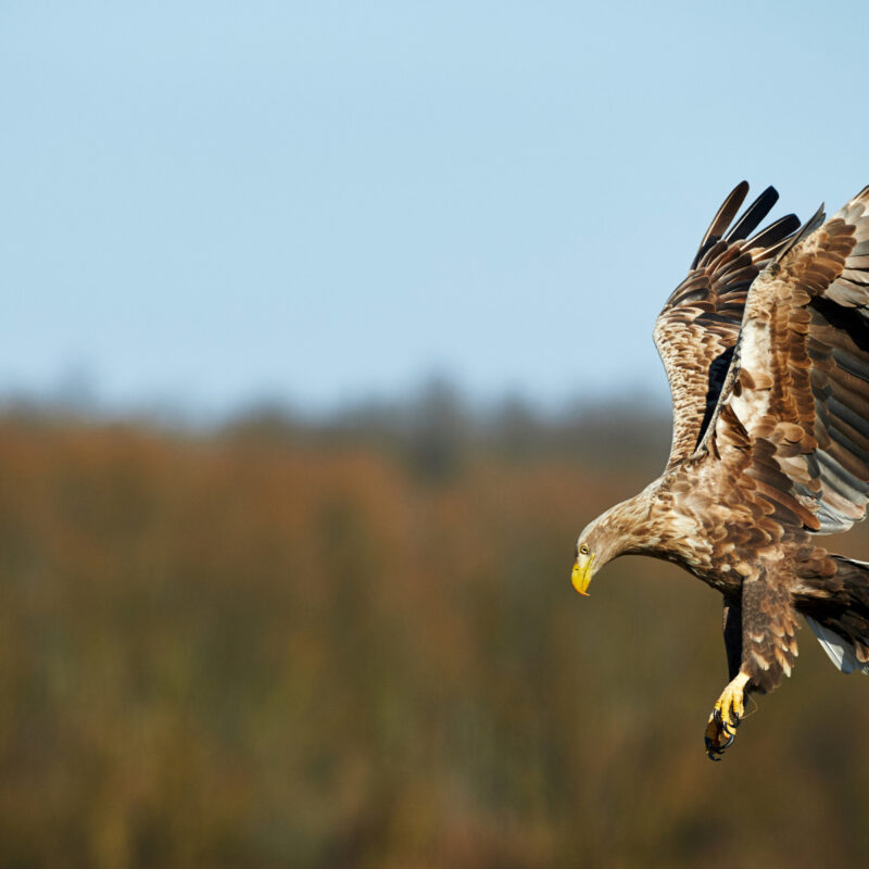 Instalacja Elektryczna C 360 Krok Po Kroku agromaniak.pl