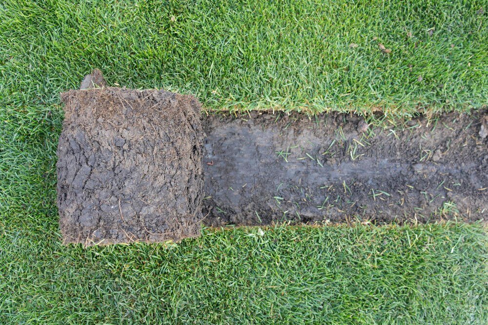 Kołki do agrowłókniny – jak wybrać najlepsze rozwiązania dla Twojego ogrodu